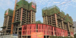 ӡ���㽭���Q��