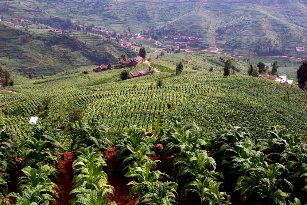 ��(hu��)�|������(chu��ng)��