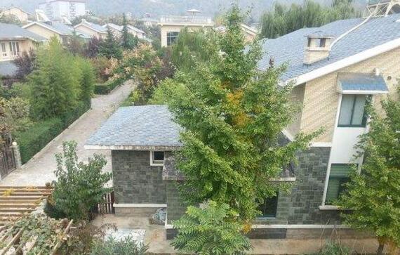 �S���ڄe��